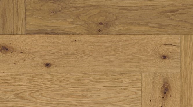 Beverly Hills Collectie