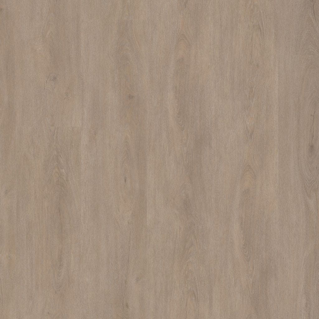 Ambiant Robusto Light Oak