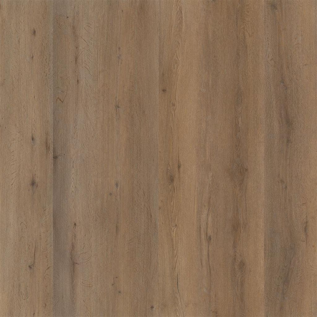 Ambiant Vivero Smoky